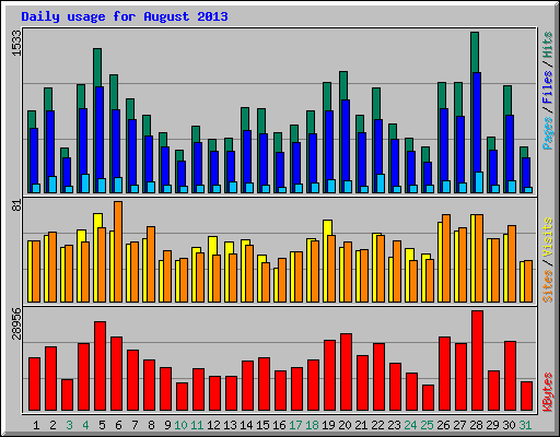 Daily usage for August 2013